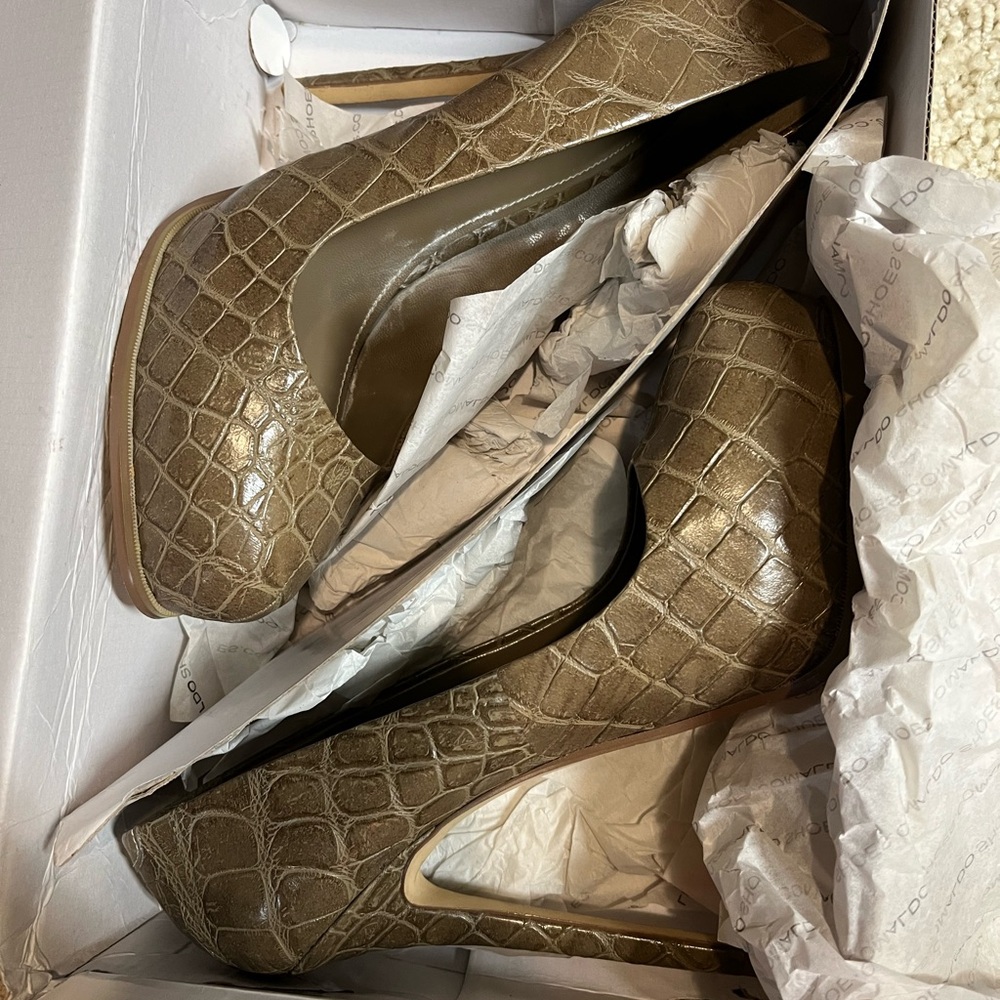 Pumps